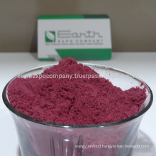 Organic prickly pear fruit powder from India